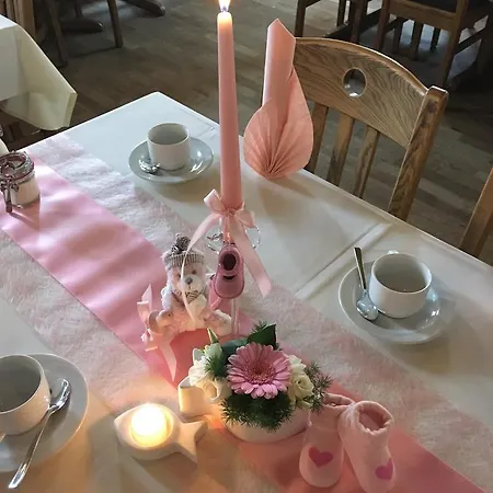 宾馆 Landgasthof Zum Baren 迪曼斯瑞德
